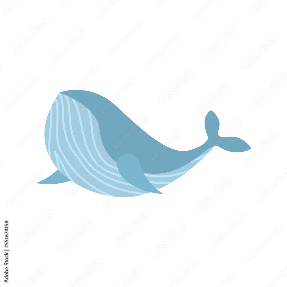 Whale kid vector illustration isolated on transparent png