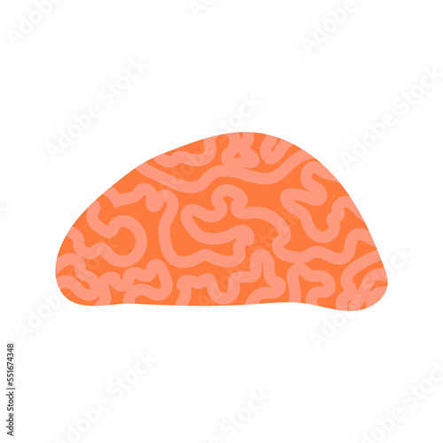 Coral reef kid vector illustration isolated on transparent png