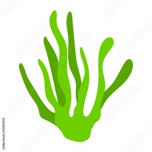 Coral reef kid vector illustration isolated on transparent png