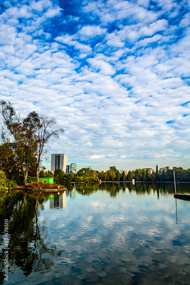 Fototapeta premium beautiful cityscape with sky full of little clouds, city in the background surrounded by forest, in chapultepec park, lake in mexico city 
