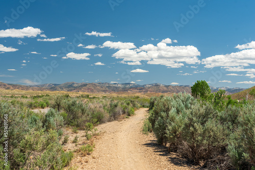Dirt road flanked by sage heads toward distant purple desert mountains on the horizon.
