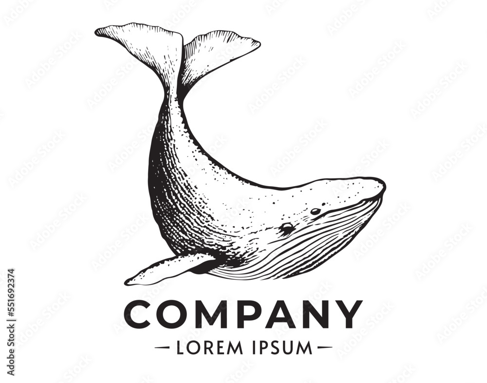 Vector hand drawn of humpback whale. Whale vintage sketch illustration ...