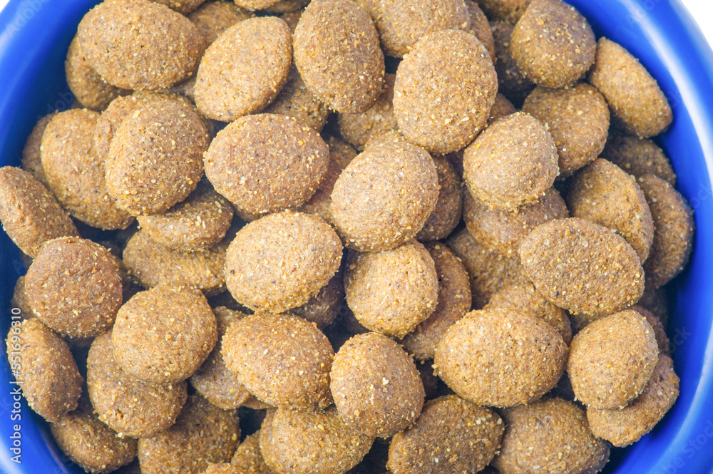 Dry food croquettes for cats or dogs in a blue bowl. Food for animals, pets. Dry food croquettes for cats or dogs in a blue bowl. Food for animals, pets.