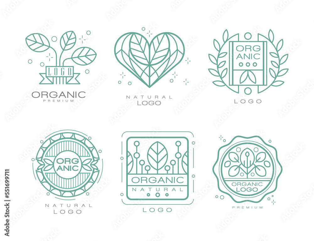 Organic Logo Design with Linear Leaves for Natural Products Vector Set