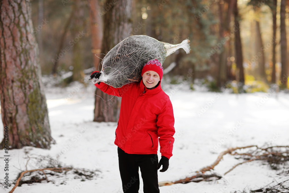 smiling man carrying freshly cut down christmas tree in forest. Young lumberjack bears fir tree on his shoulder in the woods. Irresponsible behavior towards nature, save forest, keep green concept. smiling man carrying freshly cut down christmas tree in forest. Young lumberjack bears fir tree on his shoulder in the woods. Irresponsible behavior towards nature, save forest, keep green concept.