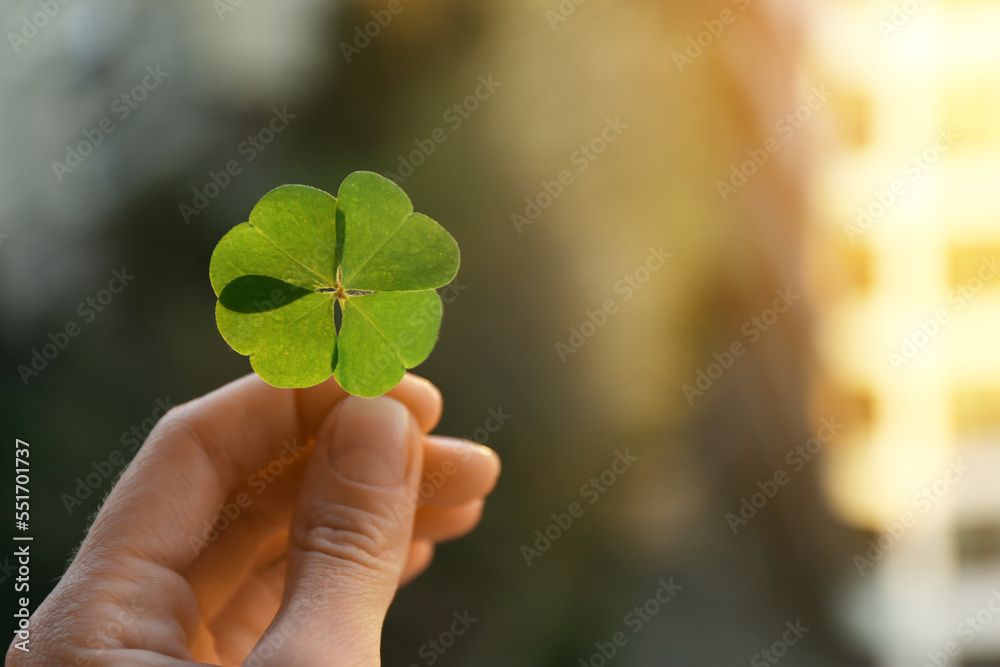 Woman holding beautiful green four leaf clover on blurred background, closeup. Space for text Woman holding beautiful green four leaf clover on blurred background, closeup. Space for text