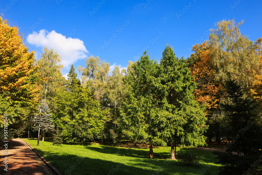 Pathway, trees and green grass in beautiful park on autumn day