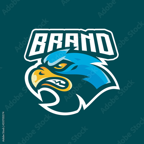 Eagle, falcon or hawk mascot logo design. Bird cartoon illustration