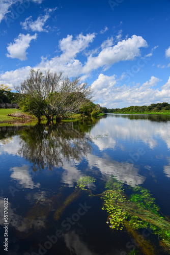 The lush rainforest landscape of the Guapor  -Itenez river  near the Fazenda Laranjeiras farm  Rondonia state  Brazil  on the border with Beni Department  Bolivia