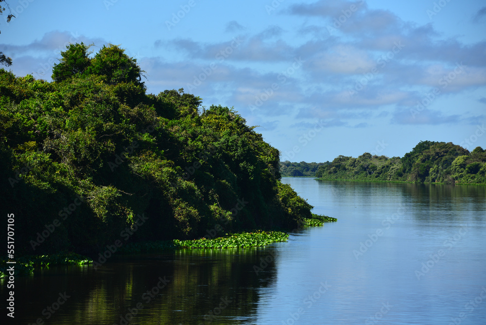 Mid-morning on a  meander in the rainforest-lined Guaporé-Itenez river, near the remote village of Remanso, Beni Department, Bolivia, on the border with Rondonia state, Brazil