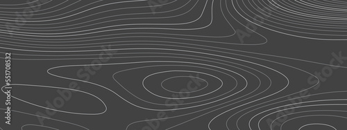 The stylized black and white abstract topographic map with lines and circles background. Topographic map and place for texture. Topographic gradient linear background with copy space. Vector