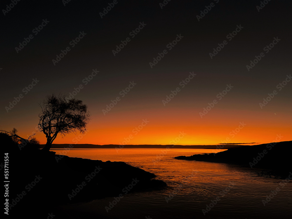 Dark orange sunset over the coastline with a silhouette of a tree.