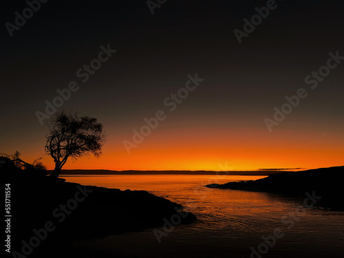 Dark orange sunset over the coastline with a silhouette of a tree.