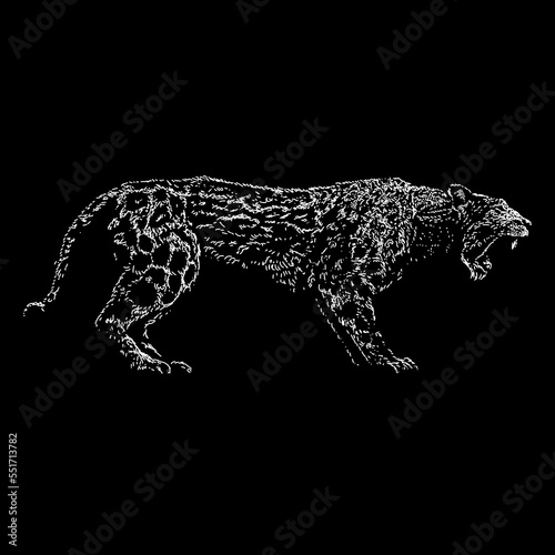 Dinofelis hand drawing vector isolated on black background.
