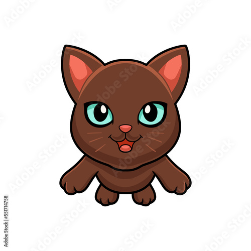 Cute havana brown cat cartoon flying