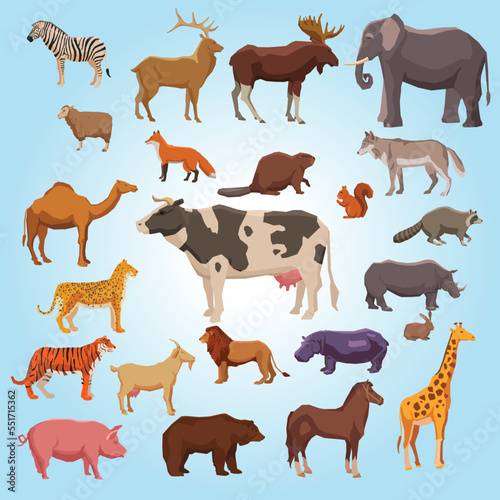 pattern with animals