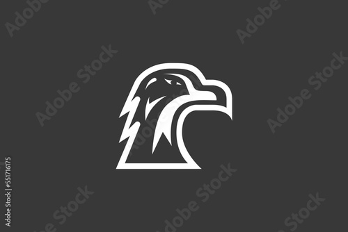 Illustration vector graphic of eagle head 