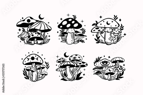 Celestial witchy mushroom with mystical boho elements