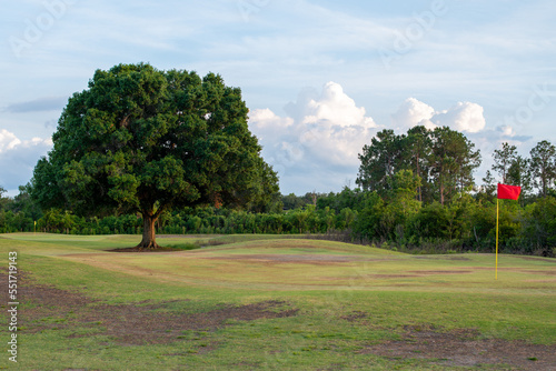 A blue flag stands motionless attached to a yellow pole, at a golf hole, on a golf course. There are RV trailers in the background. There's a waterway, sand, and large trees near the putting hole.  photo