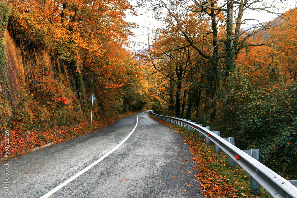 The road in the autumn forest. An asphalt road with fallen leaves in an autumn forest. A country road in the autumn in the forest. Yellow and orange leaves on trees in the morning forest.