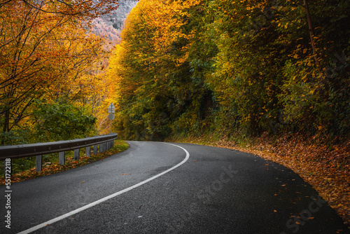 The road in the autumn forest. A country road in the autumn in the forest. Yellow and orange leaves on trees in the morning forest with a roadway. Highway in the mountains on an autumn day.