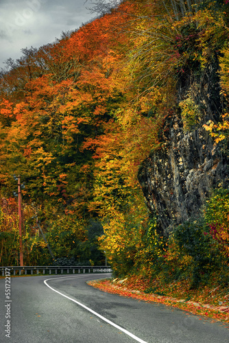 The road in the autumn forest. A country road in the autumn in the forest. Yellow and orange leaves on trees in the morning forest with a roadway. 