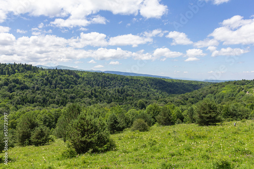 Subalpine meadows, summer flowering of plants and herbs, panorama of mountainous terrain.
