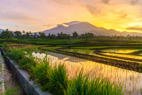 View of Indonesia in the morning, beautiful view of rice fields at sunrise