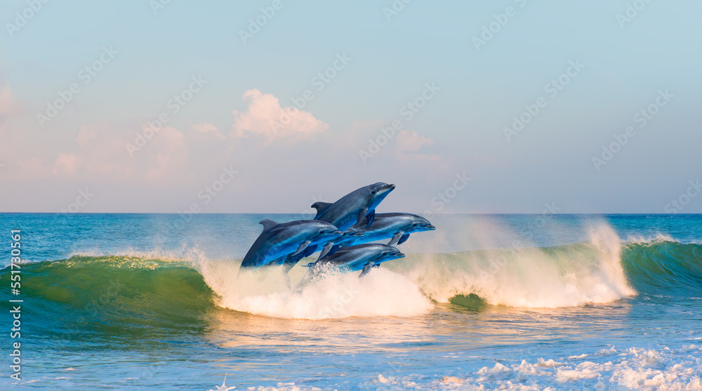 Fototapeta premium Group of dolphins jumping on the water - Beautiful seascape and blue sky
