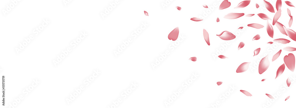 White Flower Petal Vector Panoramic Background.