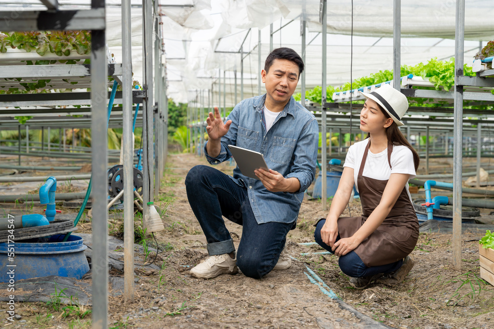 Fototapeta premium An Asian expert in hydroponic gardening is instructing women in proper irrigation and maintenance.