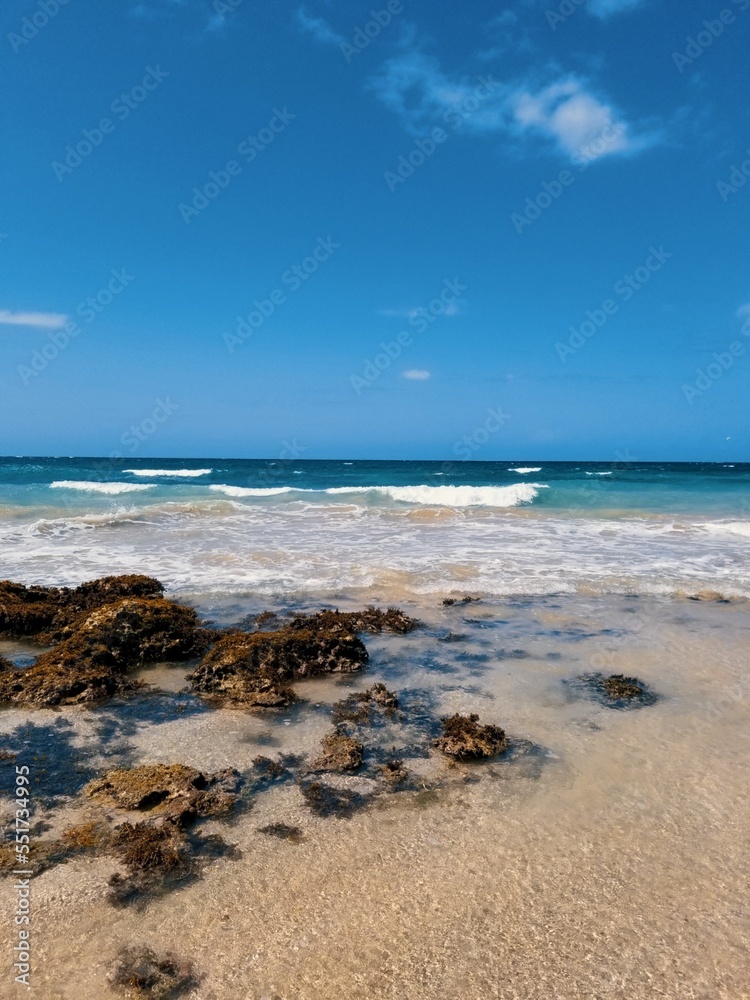 beach and sea beach and sea