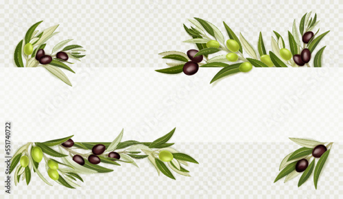 Olive branches with black and green fruits and leaves isolated on transparent background. Banner template with border of mediterranean tree sprigs with olives, vector realistic illustration