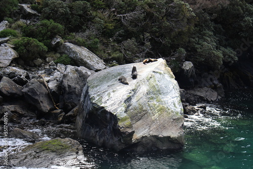 Milford Sounds, New Zealand
