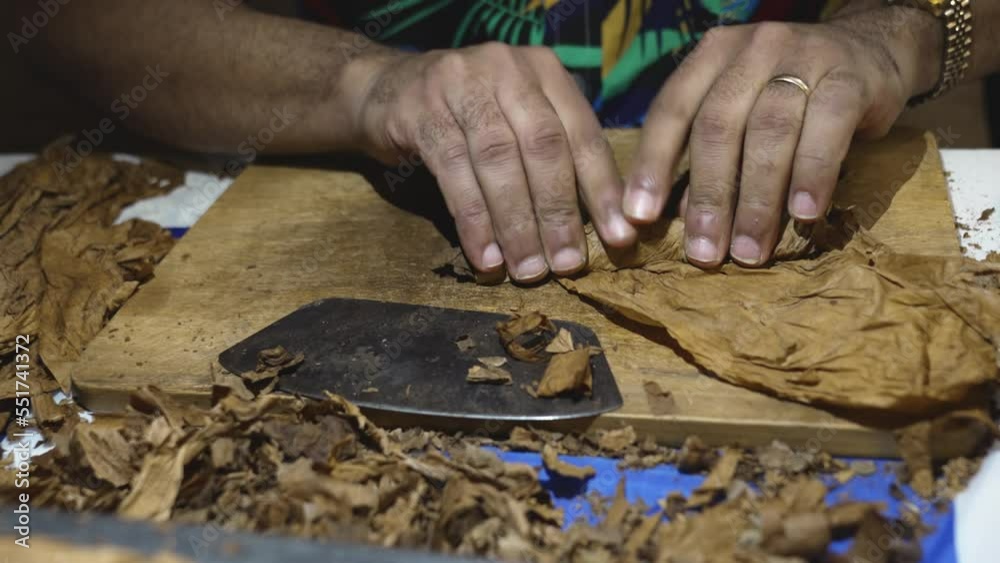 view from above on men's hands twisting cigars made of tobacco leaves. Torcedor's work. cigar twister, a specialist who in the factory manually twists cigars. entertainment for guests at the holiday.