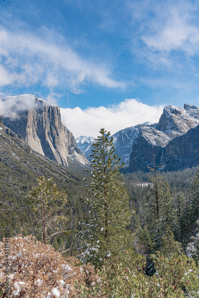 Yosemite National State Park
