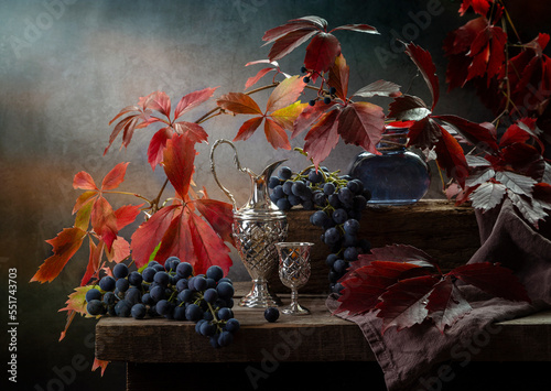 Still life with dark grapes and a branch of wild grapes