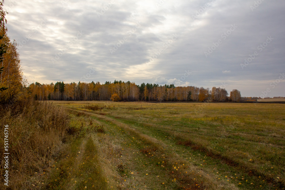 Deserted autumn fields. Empty autumn fields and roads in the Trans-Urals in Russia in October