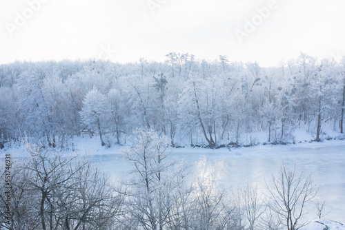 A forest covered with frost near a frozen river on a sunny winter morning