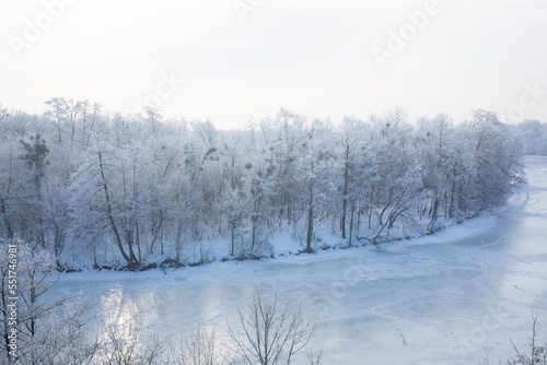 A forest covered with frost near a frozen river on a sunny morning