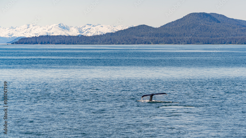 Obraz premium Alaskan Beauty