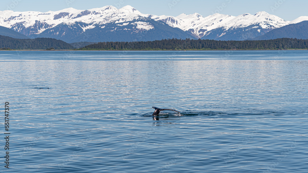 Fototapeta premium Alaskan Beauty