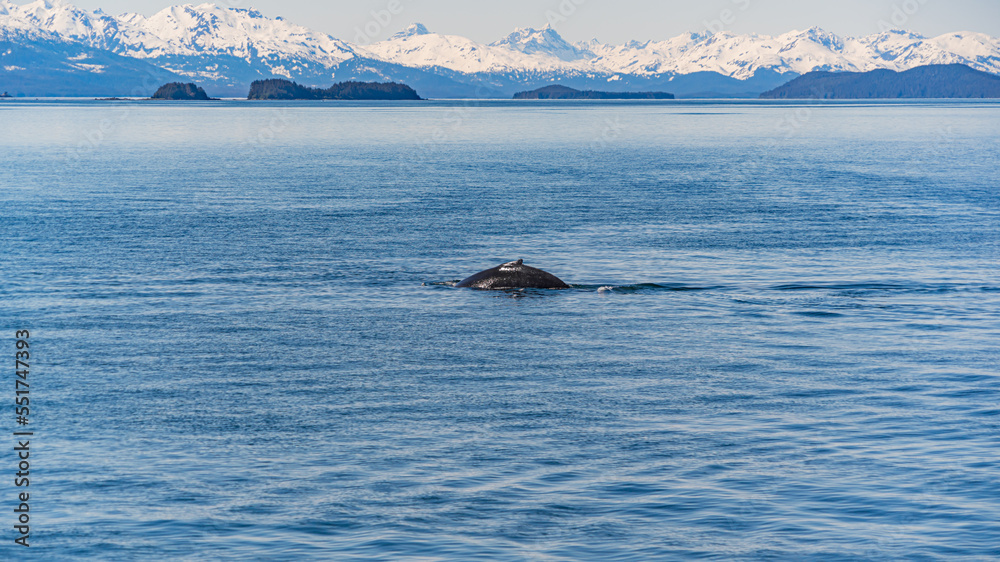 Fototapeta premium Alaskan Beauty