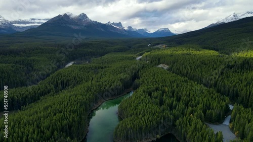 Scenic View of water in a mountain forest lake with pine trees. Aerial drone view of green lake and green forests in banff  national park. Crystal clear mountain lake between forest. 