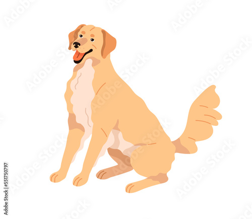 Golden retriever, cute happy dog of lovely breed. Smiling purebred doggy sitting. Adorable sweet positive canine animal with excited emotion. Flat vector illustration isolated on white background