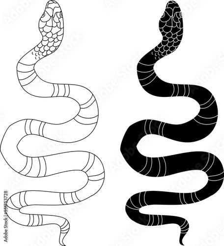 Lampropeltis triangulum vector.Sticker and hand drawn snake for tattoo.snake Reptile illustration.