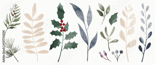 Set of watercolor winter botanical leaf branch on white background. Collection of christmas foliage, pine leaves, holly, mistletoe. Design for print, sticker, decoration, card, poster, artwork. 