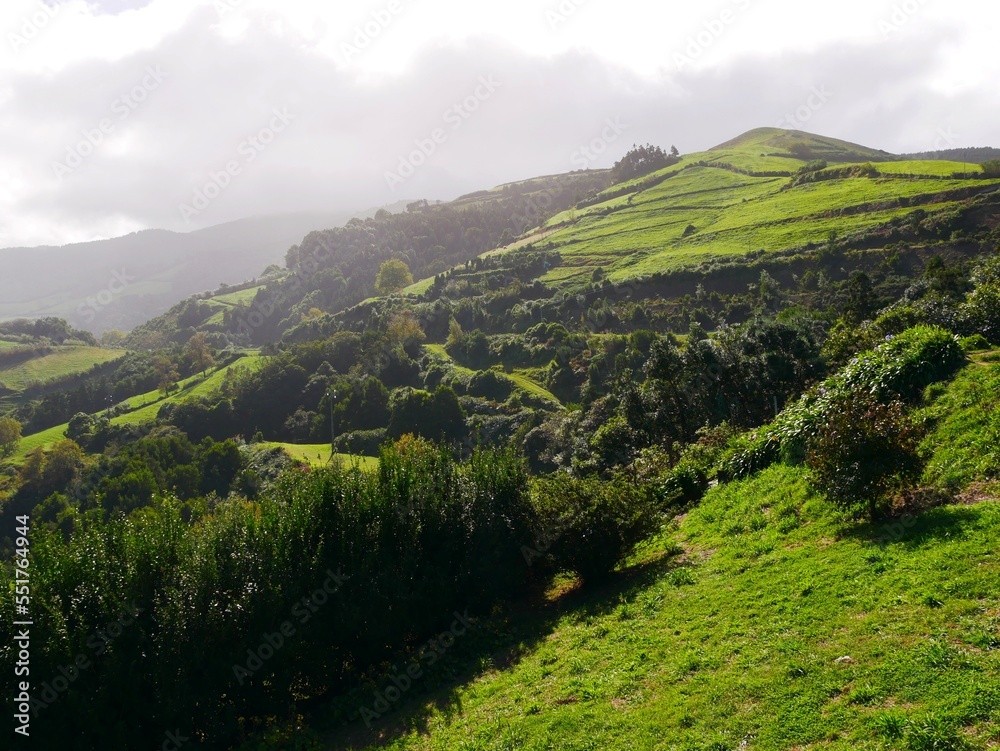 Obraz premium Paysage rural et verdoyant de l'île de Sao Miguel dans l'archipel des Açores au Portugal