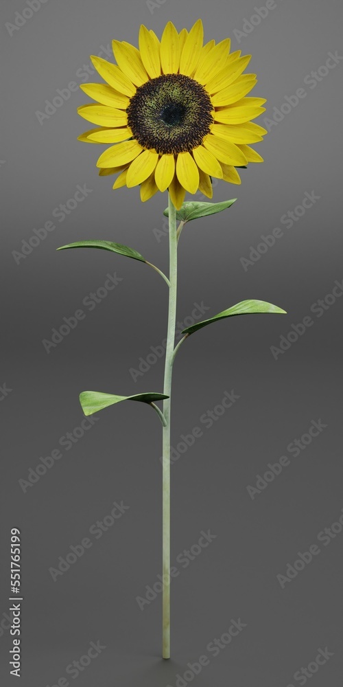 Fotografie Realistic 3D Render of Sunflower