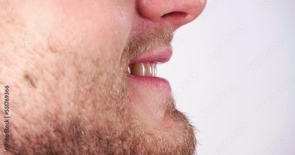Young bearded man smiling on light background, closeup profile view Young bearded man smiling on light background, closeup profile view